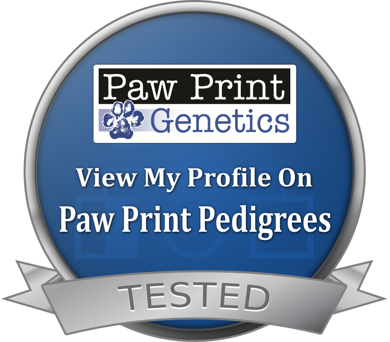 Paw Print Pedigrees Dog Seal